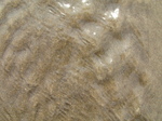 SX24656 Water patterns in sand.jpg
